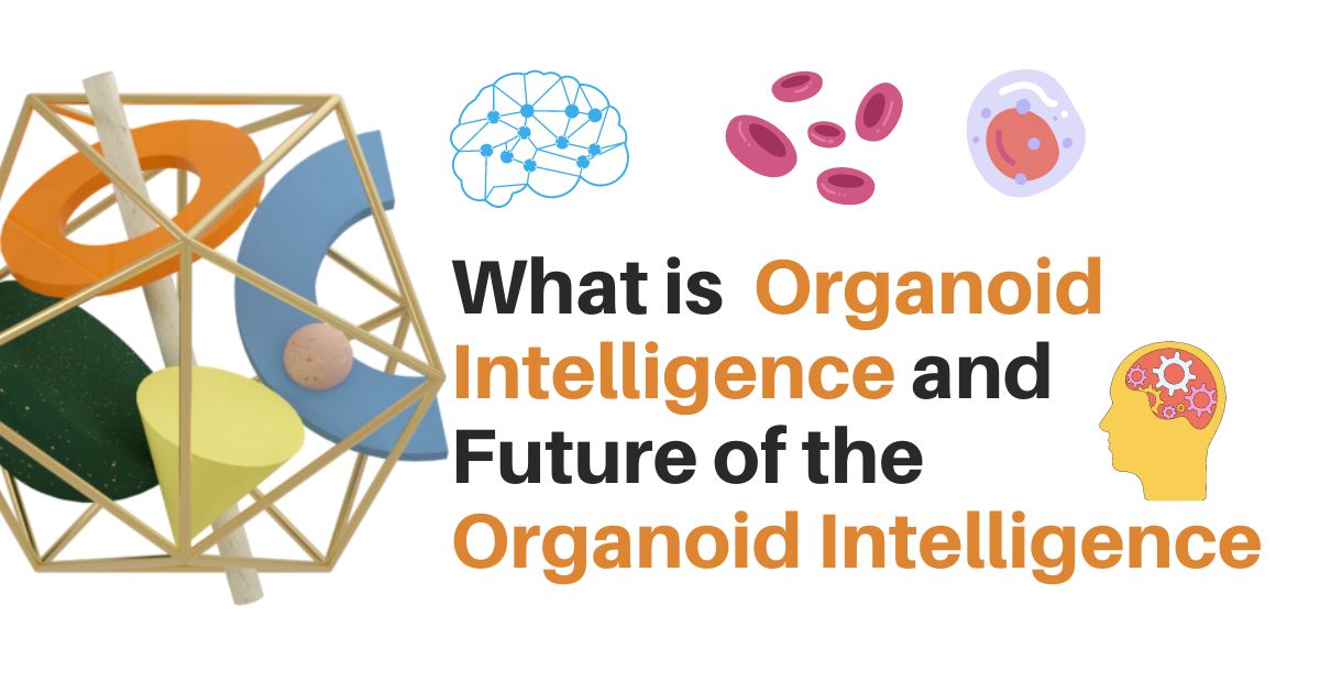 Organoid Intelligence